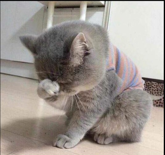 为什么人一着凉就容易生病,人为啥着凉了就会感冒