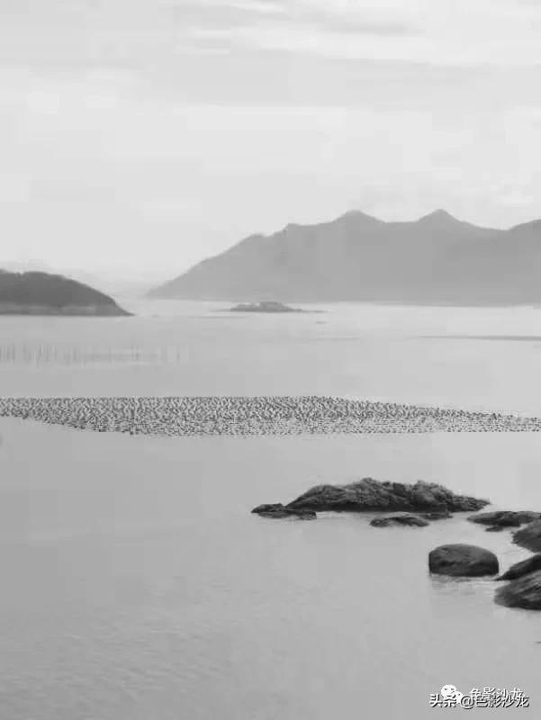 「任福斌」水墨意境的霞浦