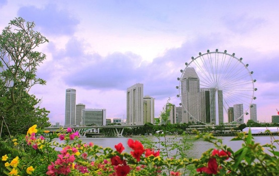 为什么越来越多人选择新加坡,为什么好多人去新加坡投资