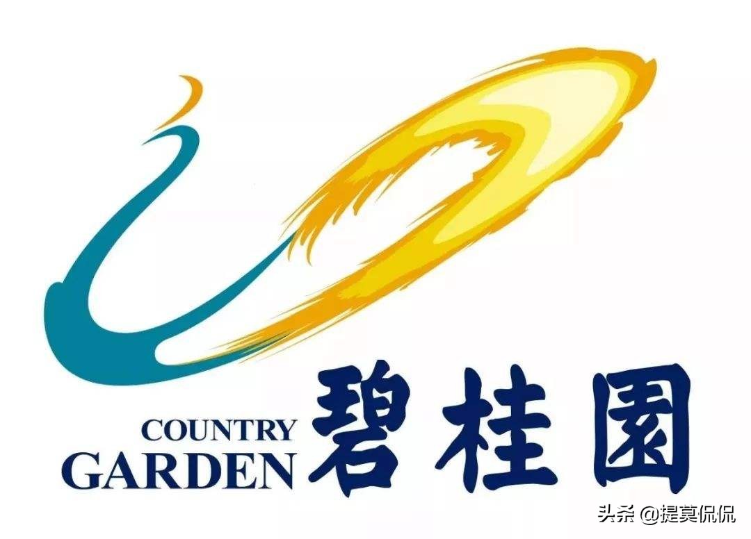 碧桂园喜提浑南DT地块，连接东湖和大学城的要地！