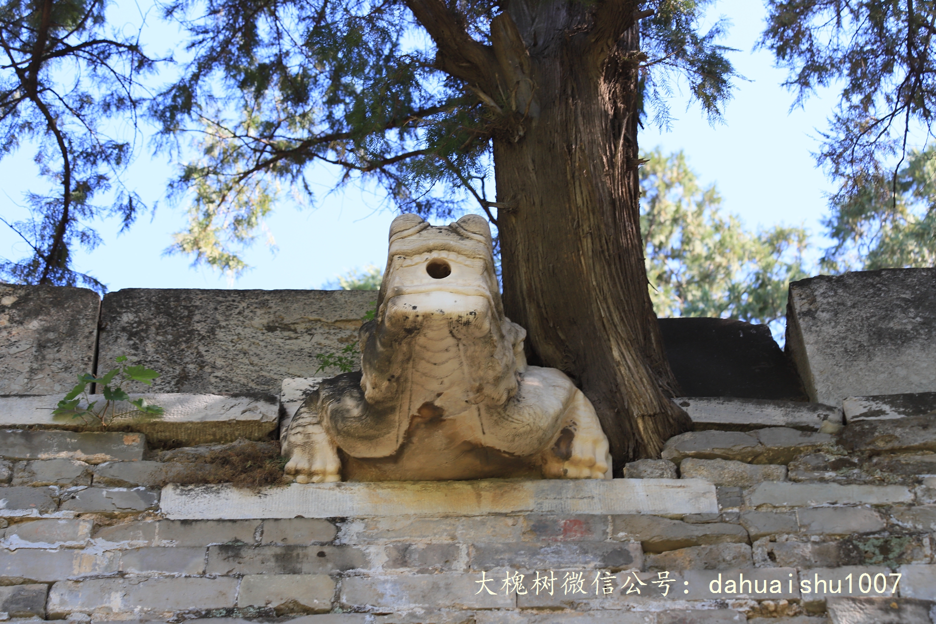 嘉靖陵墓永陵和永乐大典,明朝十三陵之永陵