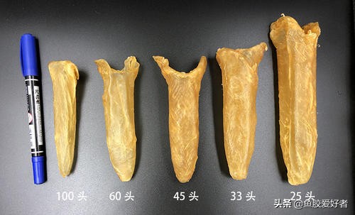 新手买鱼胶买什么好,网上买鱼胶要注意什么