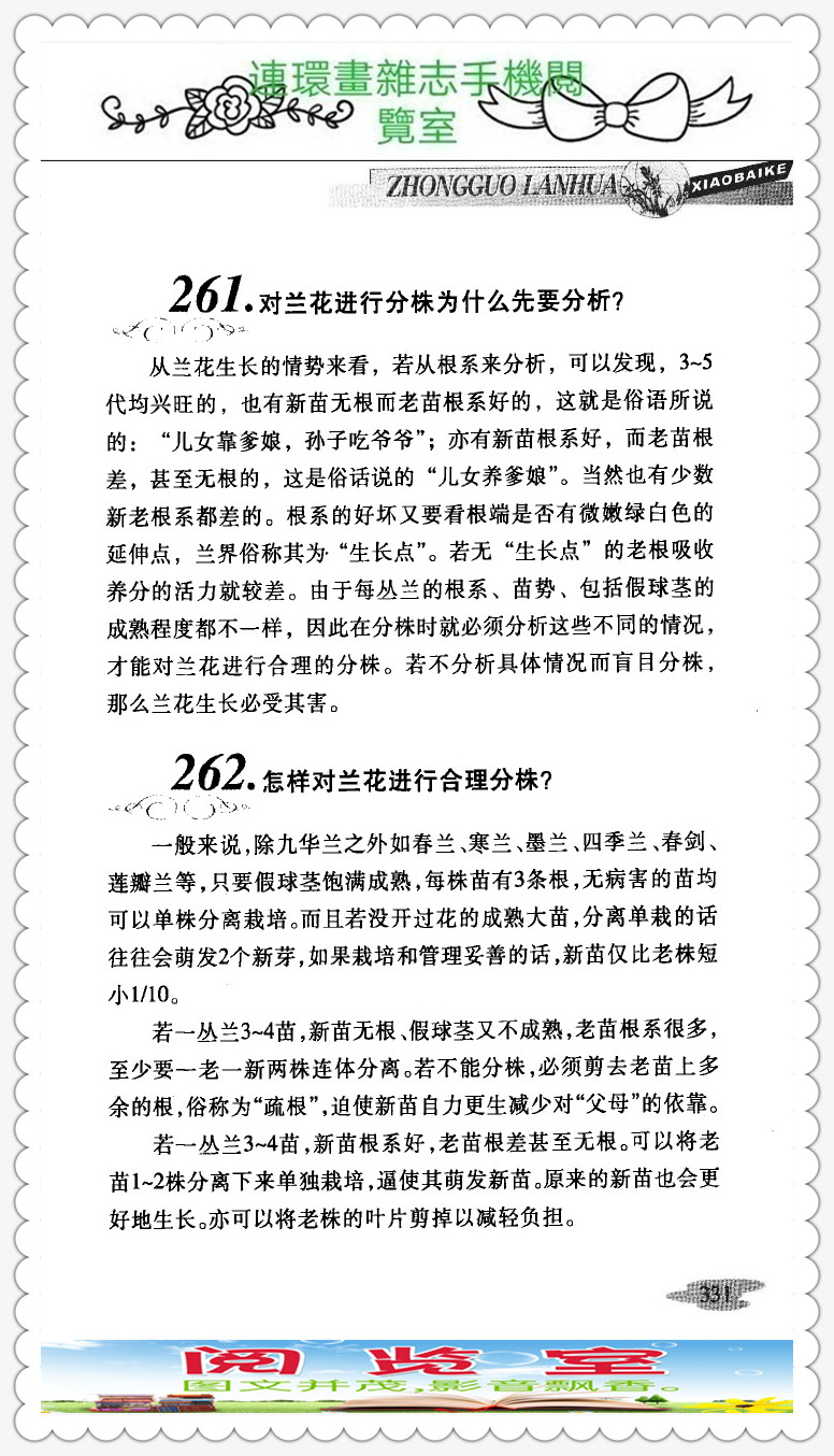 中国兰花品种大全书,中国兰花品种名录图片