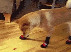 别花冤枉钱！冬天娃的帽子、围巾、袜子要这么选