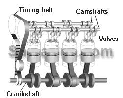 一群机械动物的动画片,一堆机器兽动画片
