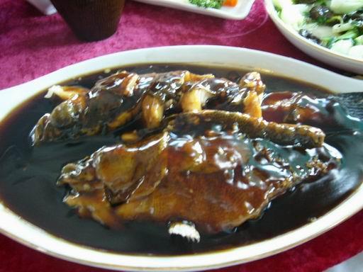 中国菜系八大菜系,中国四大菜系视频