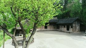 仪陇县新闻联播,仪陇县新闻联播视频