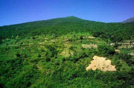 承包村里的土地到期后果树怎么办,农村土地承包到期后怎么办