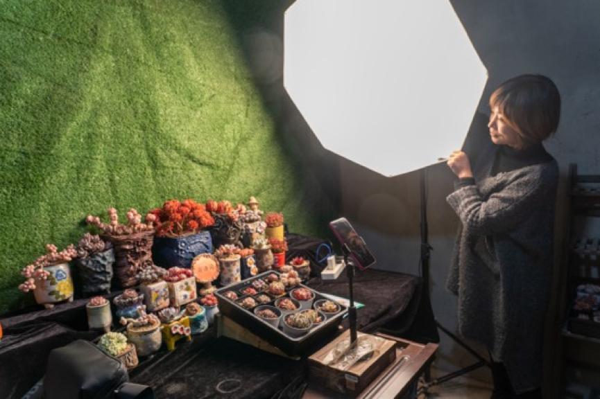 现实版《山海情》！宁夏宝妈淘宝创业种多肉带动6个本地妇女家门口就业