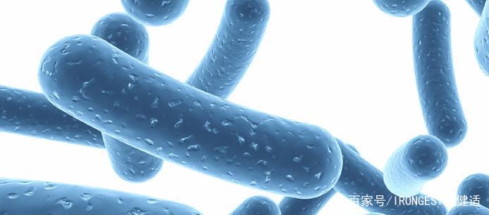 你知道益生菌的好处么,有人知道益生菌能提高免疫力吗