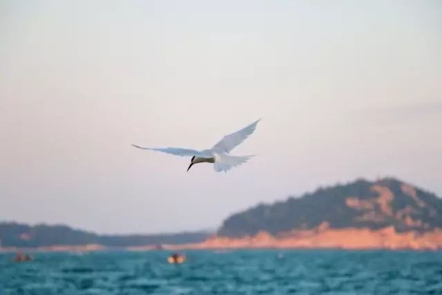 五一北京周边自驾游小众旅游地,2021五一亲子游推荐小众