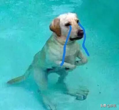 俄罗斯的化妆品有假的吗,俄罗斯的化妆品质量好吗