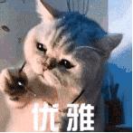 上海买房朝向怎么选,上海买房投资有潜力吗