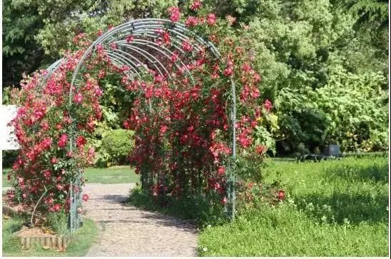 @常熟人，四月不野餐，就是对春天的浪费!