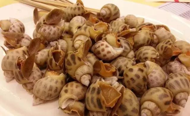 寿光羊口开海,寿光羊口哪个海鲜最好