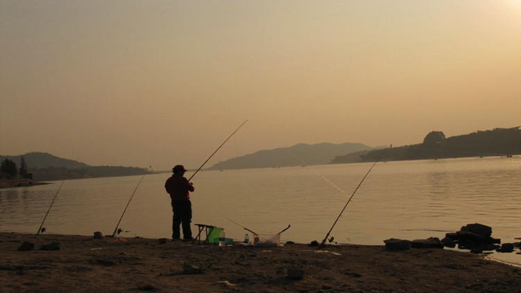 怎样选择鱼竿比较好,怎样选择鱼竿最合适