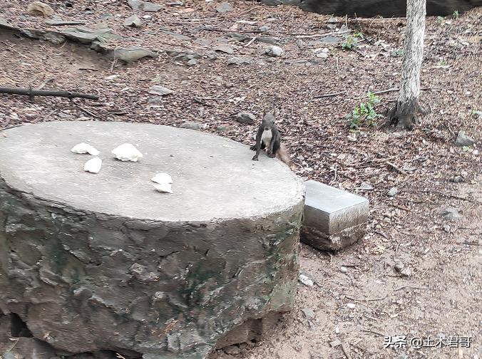 西山八大处游玩攻略,西山八大处公园