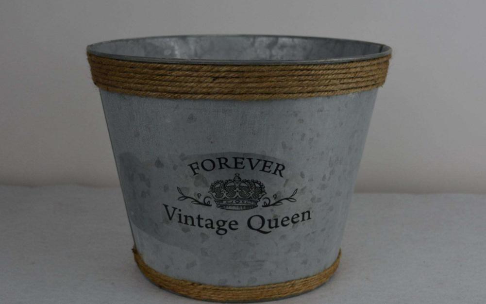 如何为你的植物选择合适的花盆,怎么选择合适的花盆口径