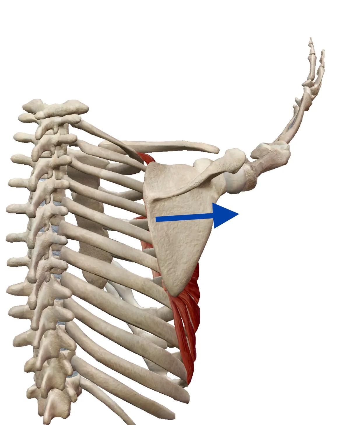 后背麻疼,后背麻疼选择哪种方法治