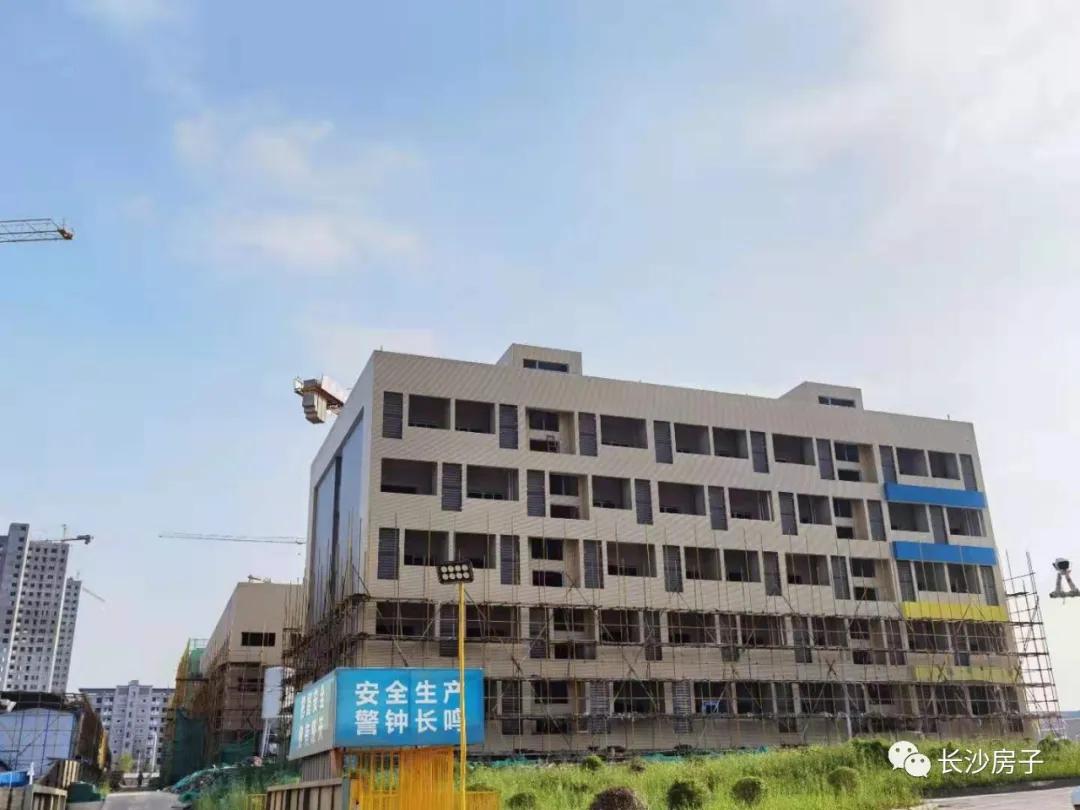 麓山国际长沙分校,麓山国际分校