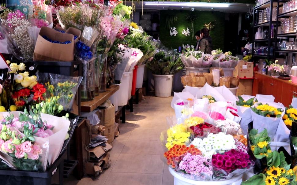 厦门藏匿着的美好,厦门是一座非常迷人的城市