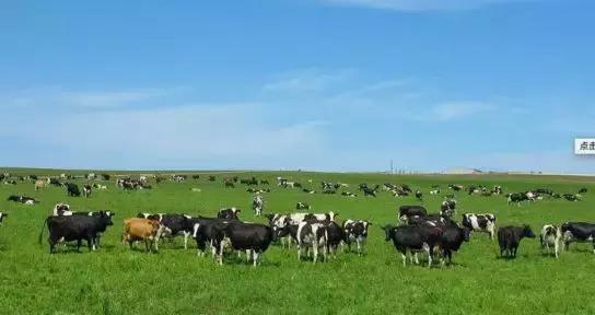 权威杂志官宣！澳超市随处可见的便宜货，竟预防早死、心血管疾病
