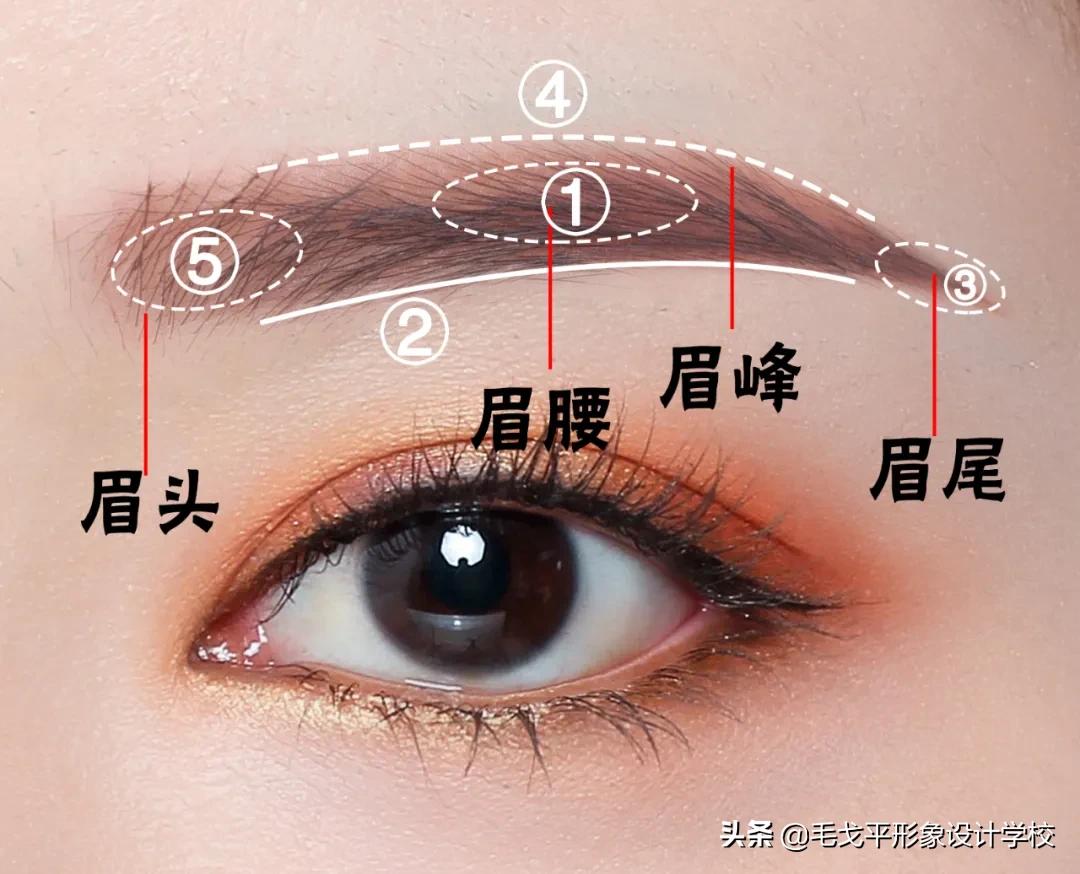 私人定制眉形|画不好眉毛的宝贝们都进来学习下