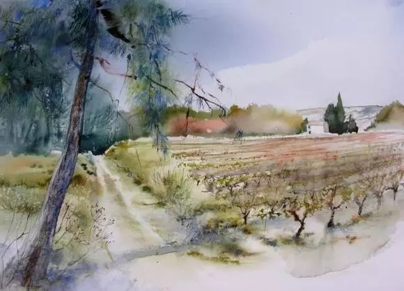 毛笔的正确清洗方式,毛笔怎么洗正确步骤