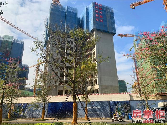 万科梦想家刚需户型,万科星城沙井样板公寓