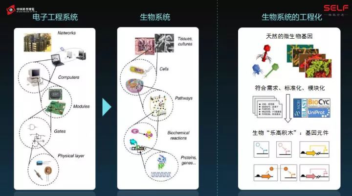 微生物降解塑料,生物塑料可以被微生物降解吗