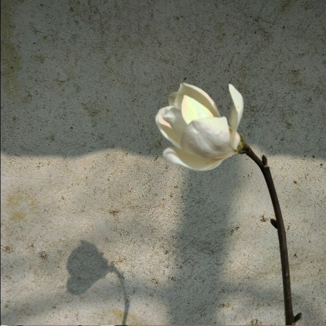 好看的微信聊天背景图男生,微信聊天背景图超清苹果