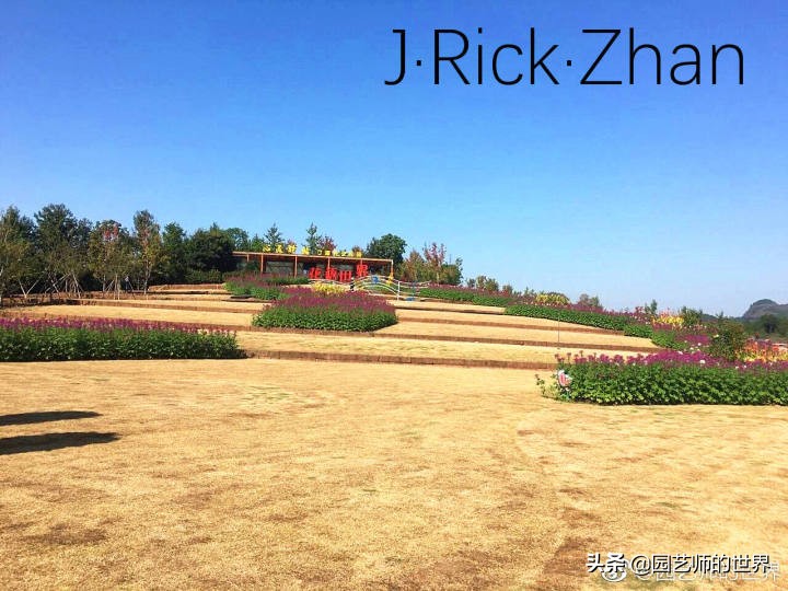 怎样种植草坪技术,果岭草坪的种植养护方法及技巧