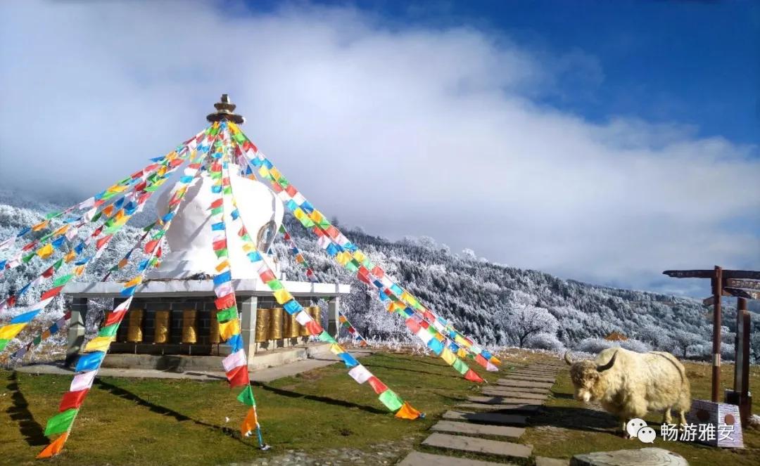 雅安4天旅游攻略最新版,五一去雅安的攻略