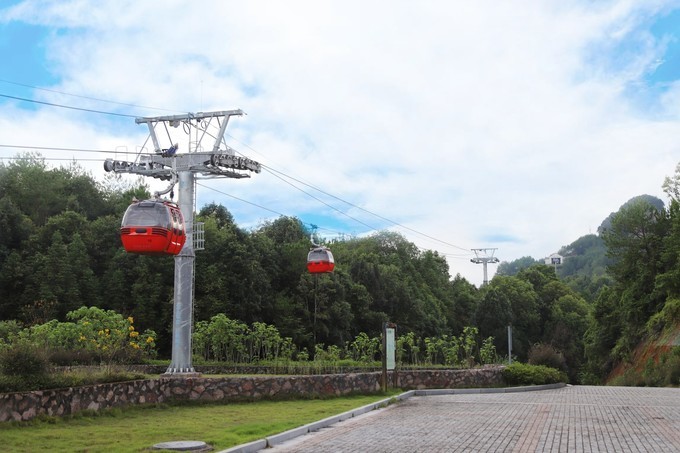 梅州采茶,梅州采茶体验