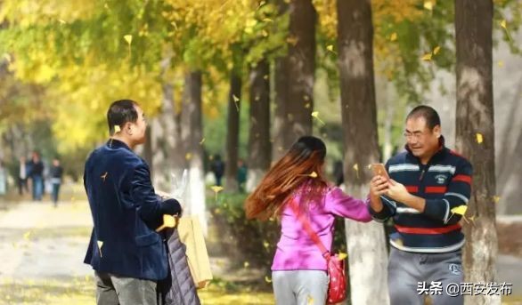 西安赏秋,西安赏秋红叶好去处