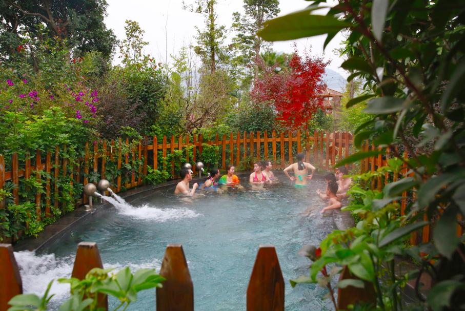 仙人街景区赏花攻略,吉尼斯打卡仙人街