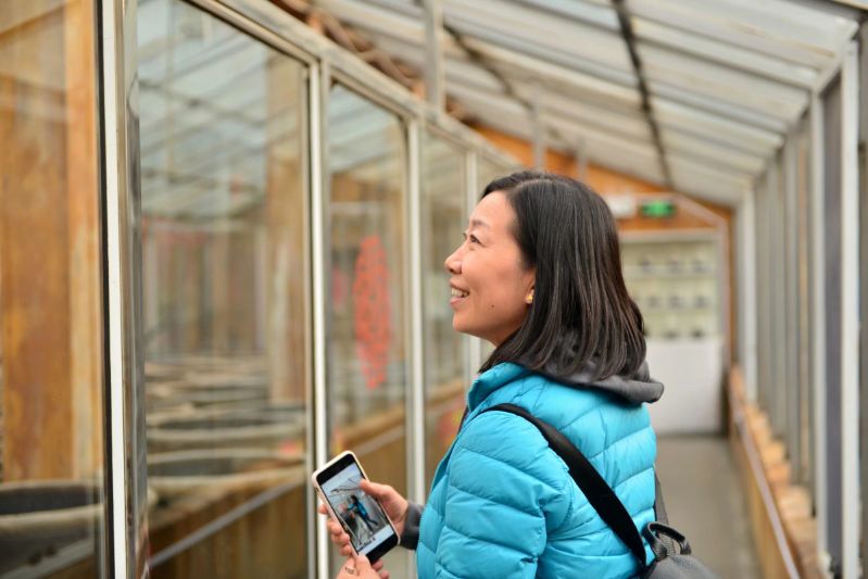 醋泡鸡蛋可以用山西陈醋吗,山西老醋泡鸡蛋
