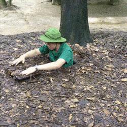 袁咏仪说张智霖劝自己的话,袁咏仪讲张智霖开玩笑