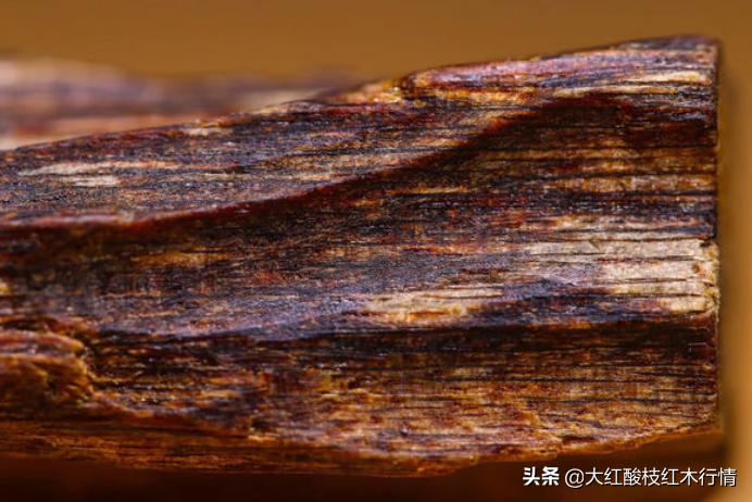 在沉香中最顶级的是什么香,沉香中最顶级的香