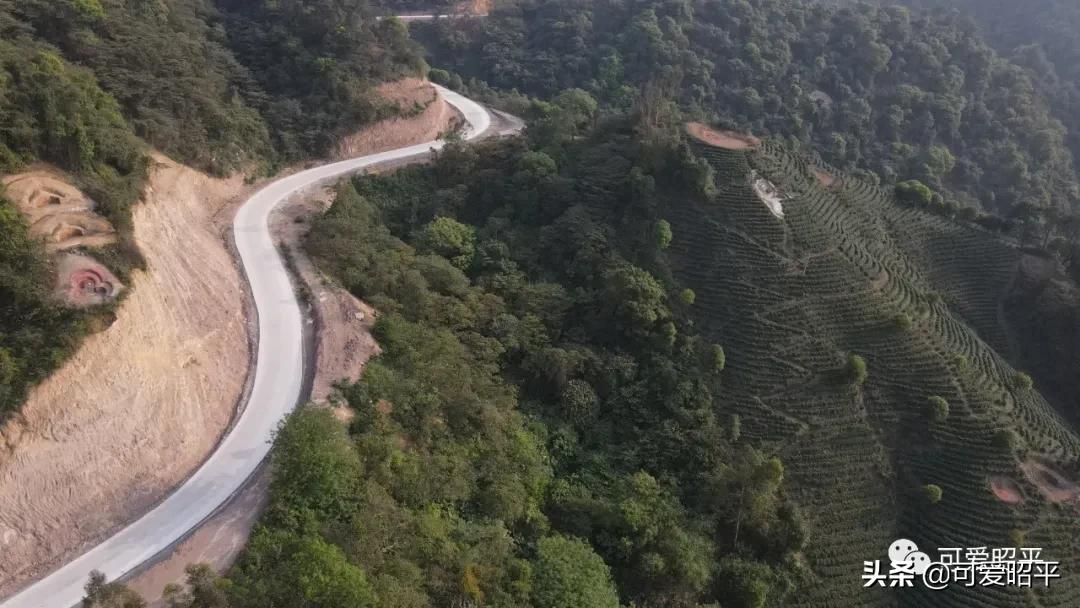 昭平县桂江东岸公路视频,贺州昭平道路建设