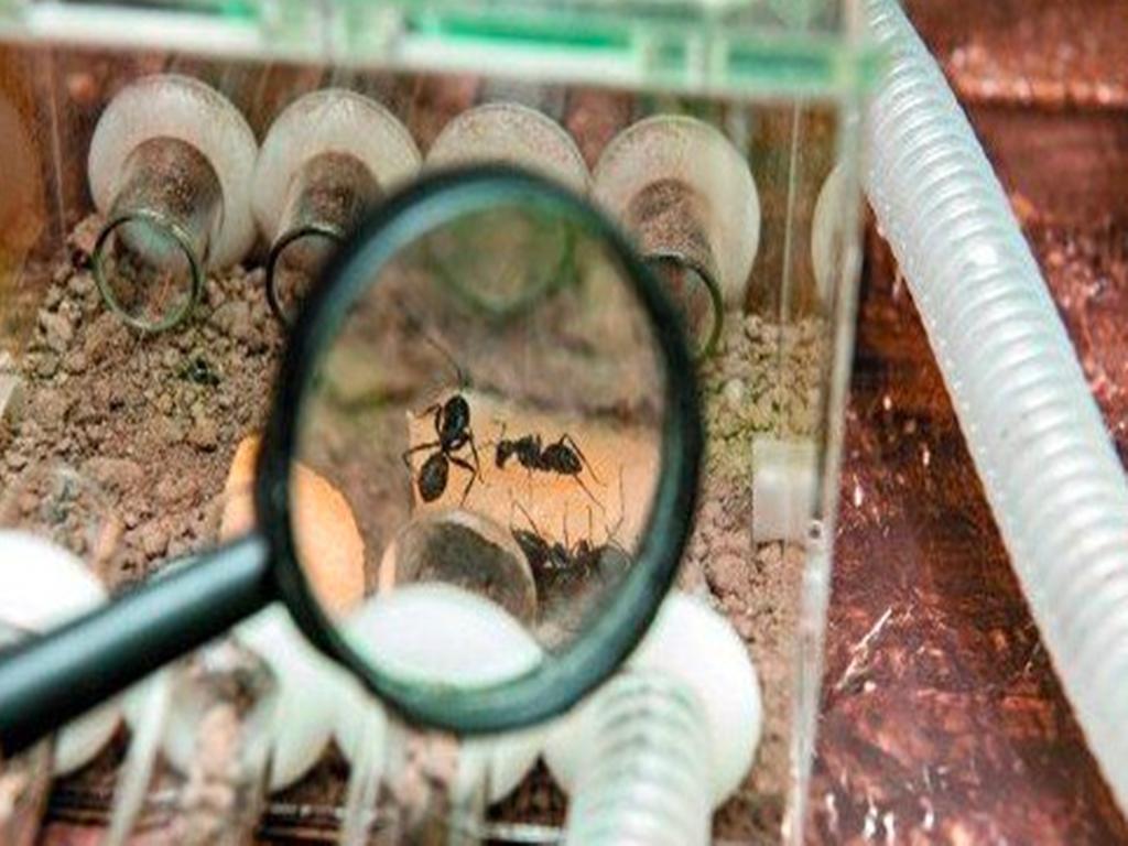 你有勇气让我“无用”,我就有可能走向辉煌