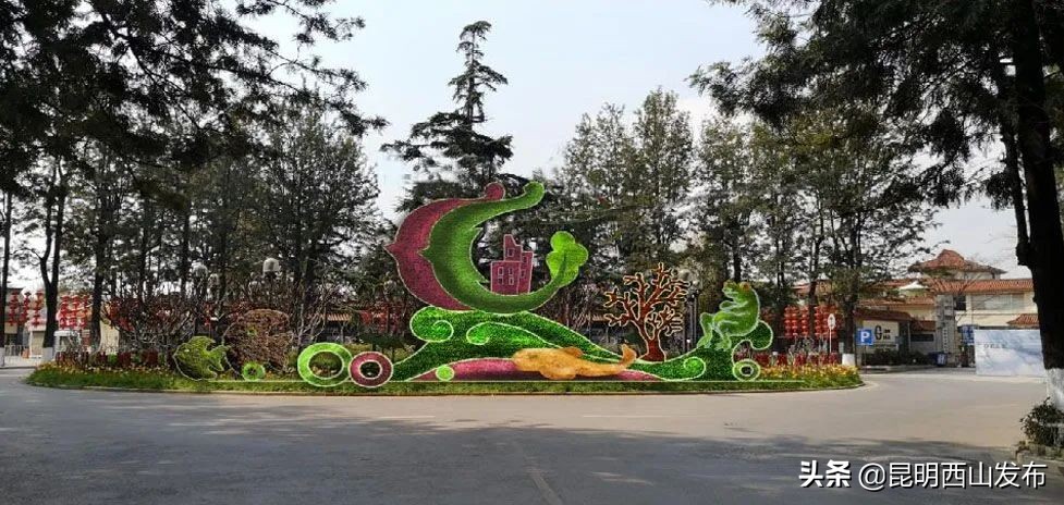 昆明立体花坛最好看的几个,美丽春城立体花坛