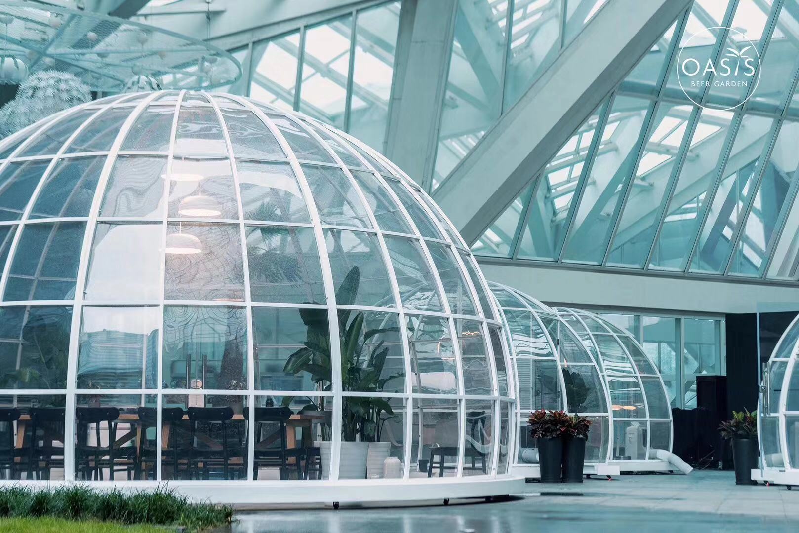 theoasis绿洲,theurbanoasis