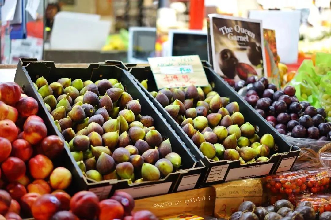 这个南半球最大的生鲜市场，成为了吸引世界游人的另类景点