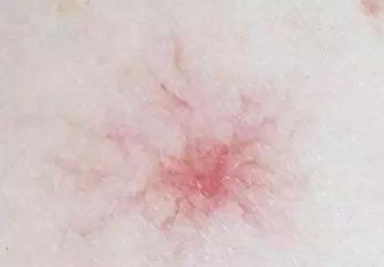 omg这也太厉害了吧,omg真有这么好的事吗