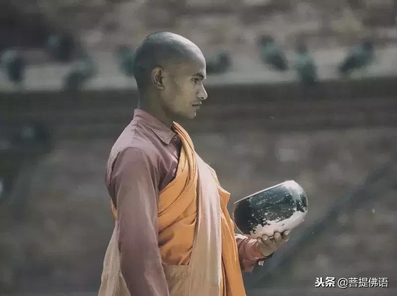 五个佛家禅理小故事,佛教智慧小故事