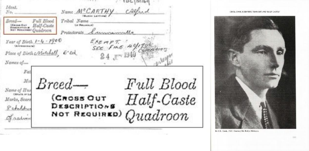 歧视带给人的伤害到底有多可怕,歧视带来的悲剧