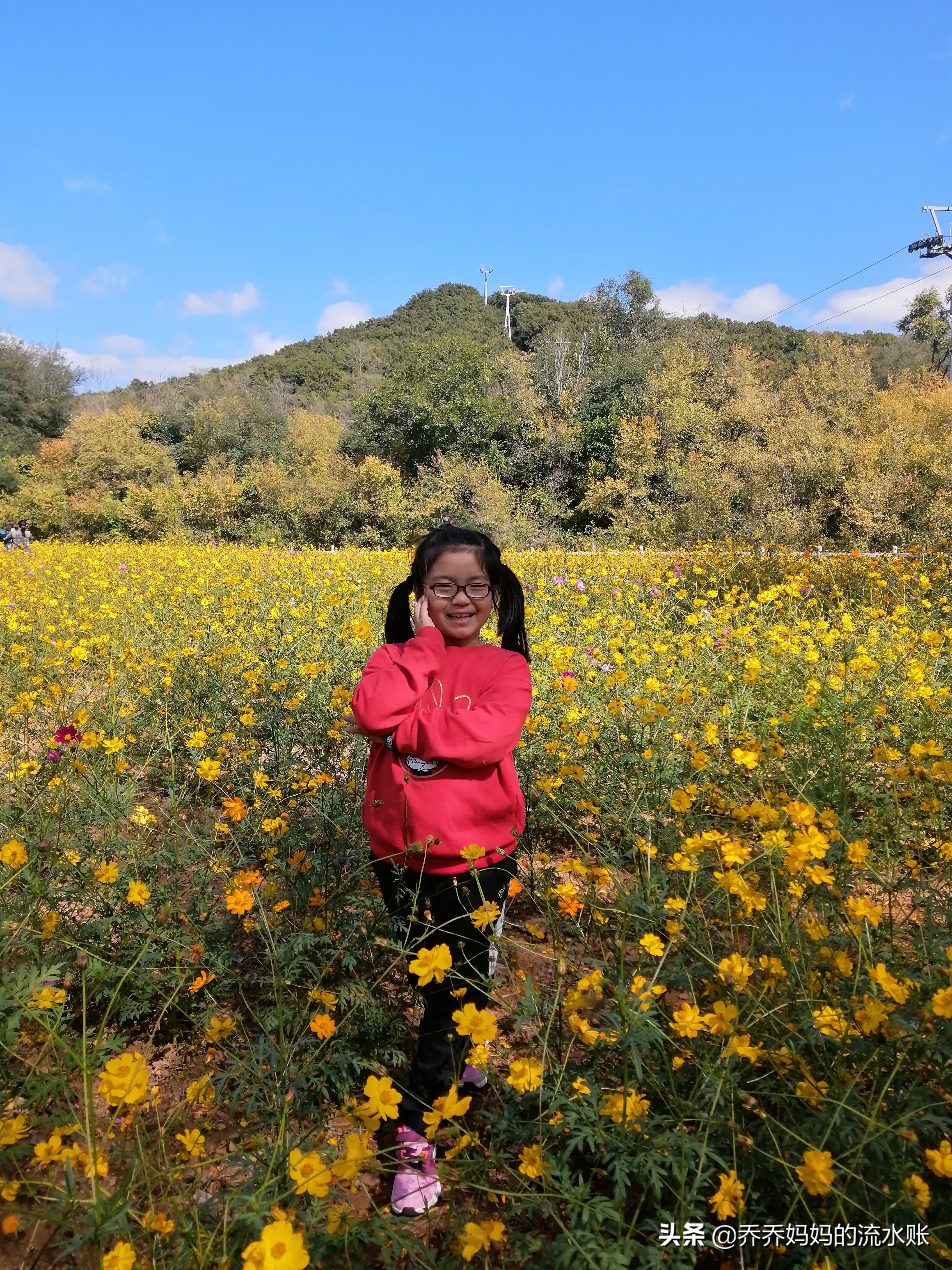 记录生活2020年5月,记录原生态牧场生活