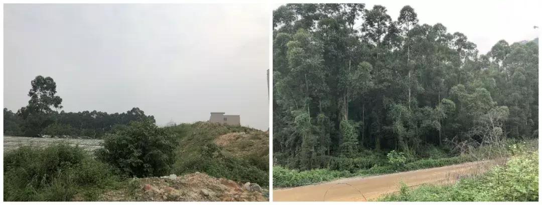 鹤山房地产拿地,楼面价18000卖21000