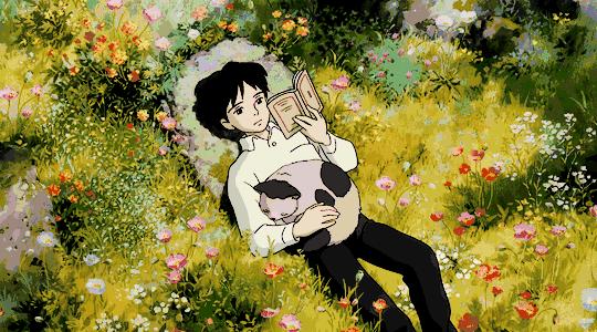 哈利波特书全套典藏,哈利波特魔法觉醒图书